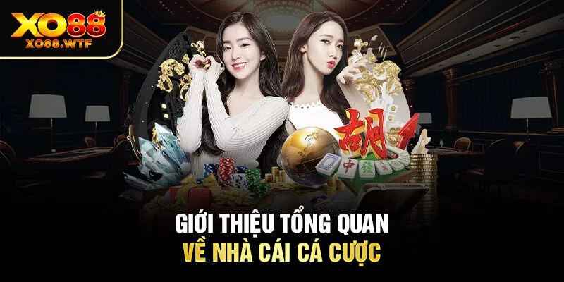 Giới thiệu tổng quan về nhà cái cá cược Giới thiệu tổng quan về nhà cái cá cược